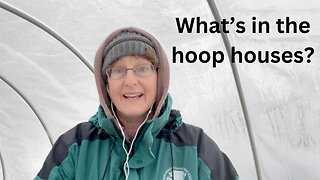 Garden zone 5b/6: What happened in our winter hoop houses?