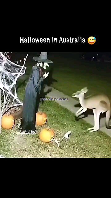 Halloween In Australia