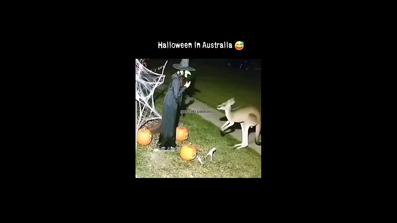 Halloween In Australia