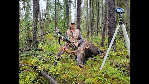 Alberta Moose Hunt 2022