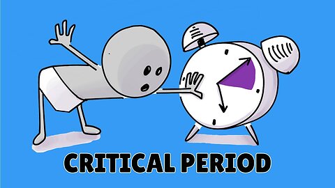 5 Developmental Windows That Shape Your Life Forever