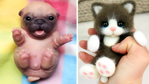 Cute Baby Animals Videos Compilation | Funny and Cute Moment of the Animals