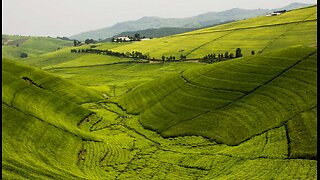 Discovering the Hills of Rwanda | Land of a Thousand Hills