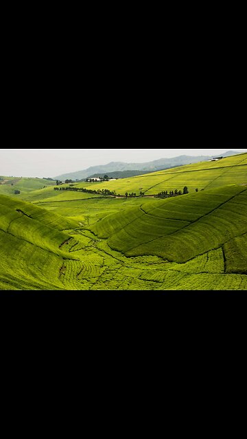 Discovering the Hills of Rwanda | Land of a Thousand Hills