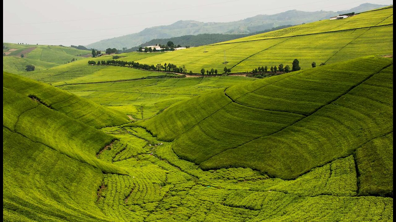 Discovering the Hills of Rwanda | Land of a Thousand Hills