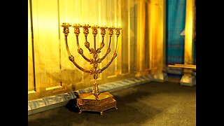 112525 You resembled YHVH. The birthday of the lampstand, Sean, the man-child shot the nation