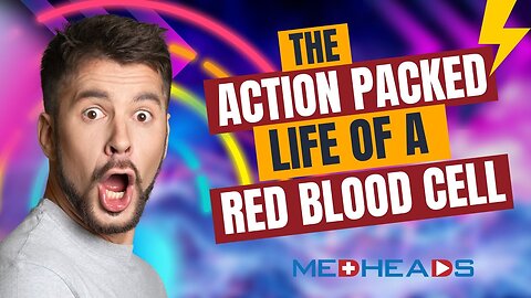 120 Days of Blood: How Red Blood Cells Work Inside Your Body | MedHeads