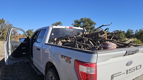 Public land firewood harvesting