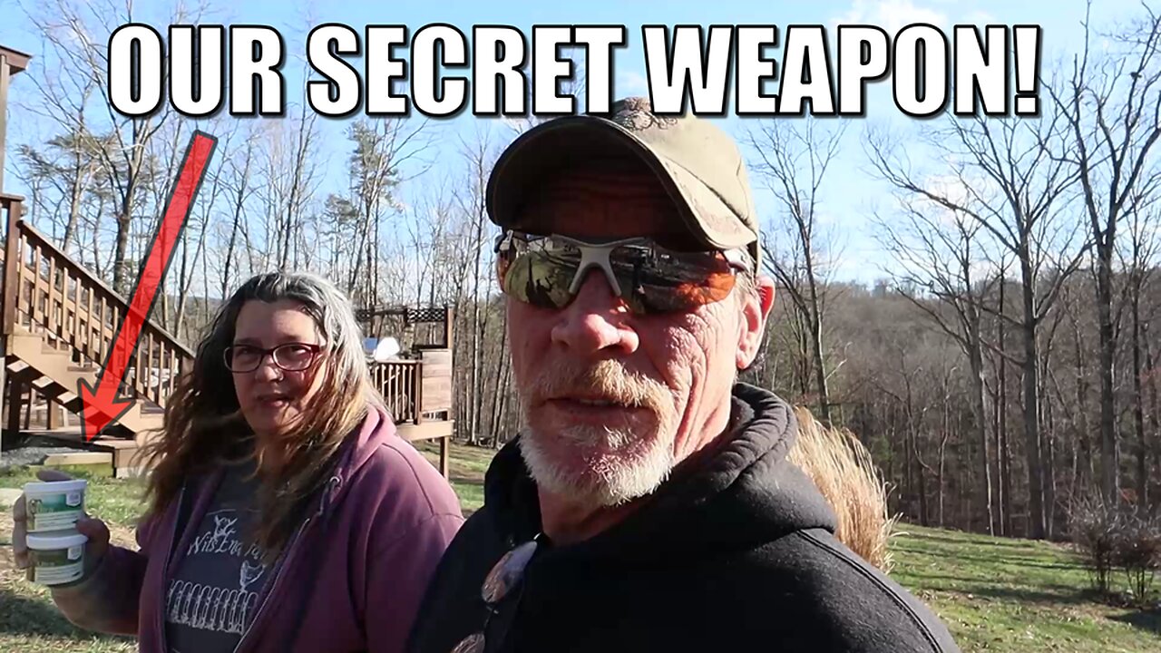Try this secret WEAPON to get your goats take a PILL!