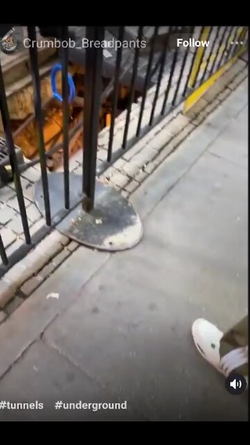 The Tunnell Take. Remember Jews digging tunnels in NYC?