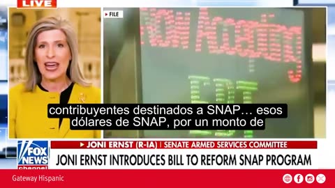 U.S. states spend $524 million in SNAP funds on fast food