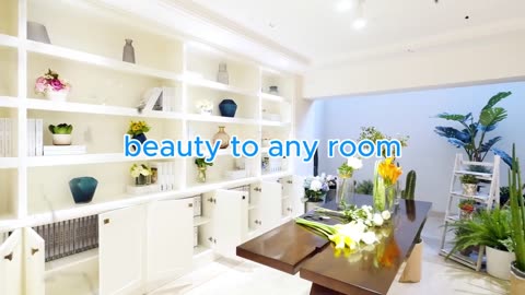 Transparent Clean： Floor Revival with Veronica for a Fresh Shine!