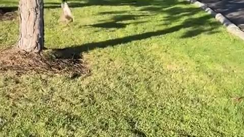 ð Her Chasing It Is Hilarious! | FunFM
