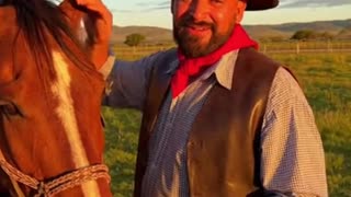 A caballo regalado...