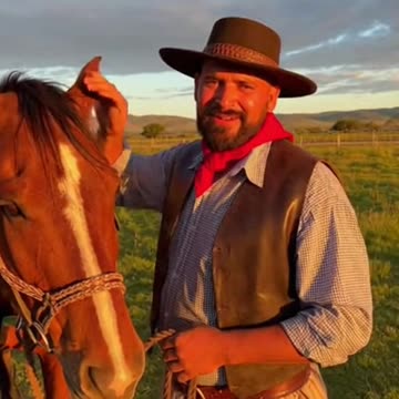 A caballo regalado...