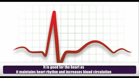 11 Health Benefits of Acai berry