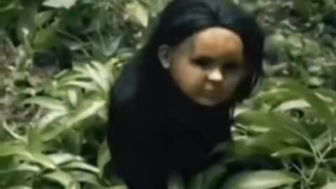 😩💥 This is Creepy! A Disturbing Presence in the Shadows | TheHauntingHour