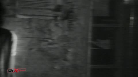 GrXpress 2 MEROS 20-12