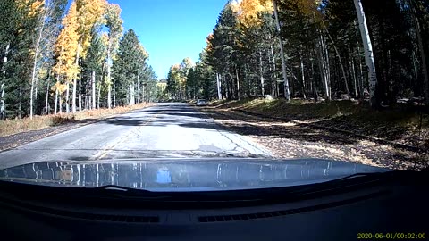 Snow Bowl aspens 10/16/2025