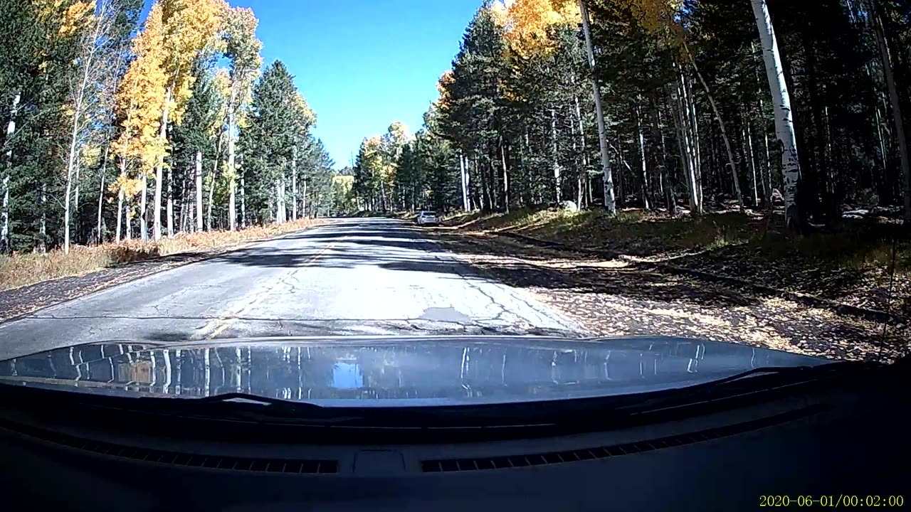 Snow Bowl aspens 10/16/2025