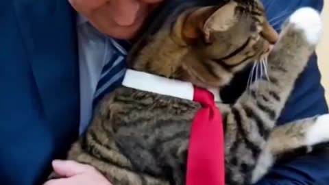 MY CAT WENT TO 😘VISIT TRUMP