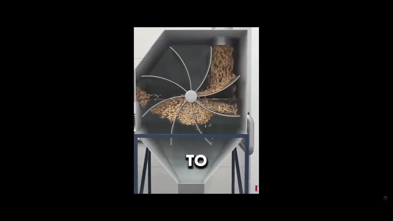 Do you know how Trees turn into paper… check out fast clip