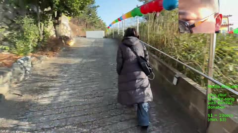 Sake party Busan Korea 韓国 釜山