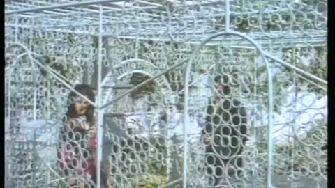 Şerefimle Yaşarım