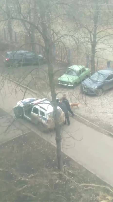 Kutyáját sétáltatta egy férfi, amikor az ukrán sorozók elrabolták