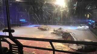 Robots Live Stoke 2025: Eruption Vs Hunterbird 1 Vs Apocalypse Vs Vulcan Vs Tanshe