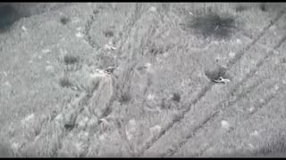 Aftermath of a Russian Assault