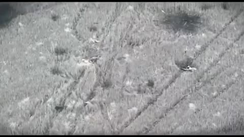 Aftermath of a Russian Assault