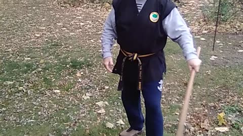 Shamrock Strikes #martialarts