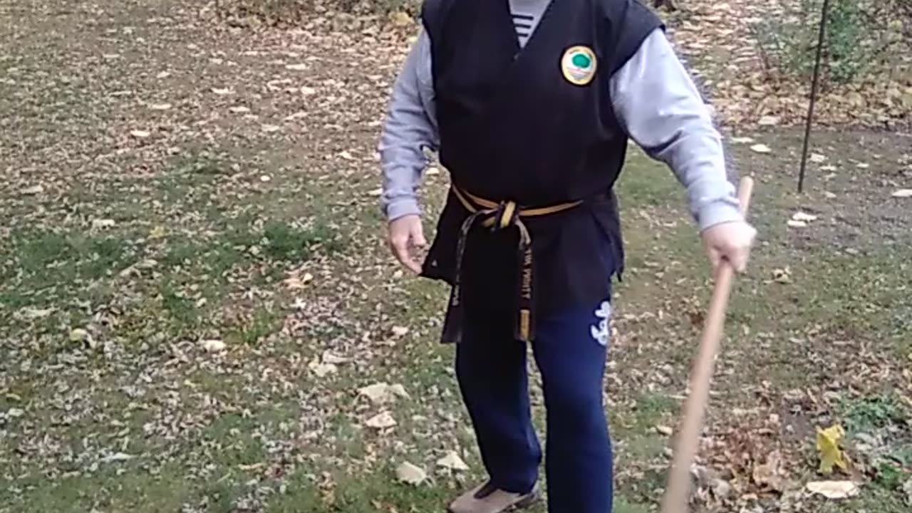 Shamrock Strikes #martialarts