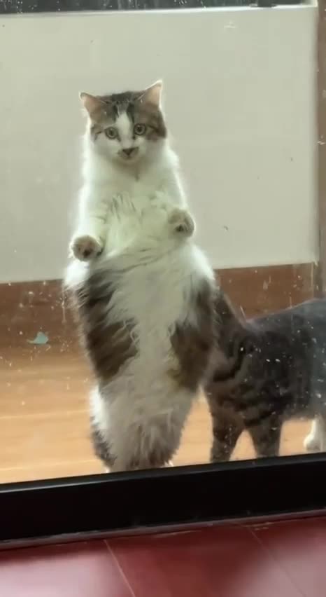 Open up please I really have to go wewe