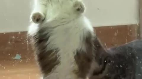 Open up please I really have to go wewe