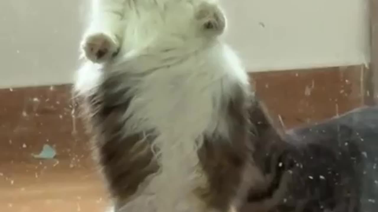 Open up please I really have to go wewe