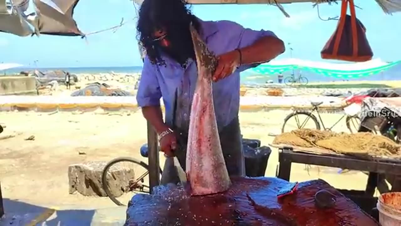 Huge Cobia Fish Cutting Skills