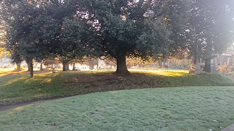 Frost where they rest.