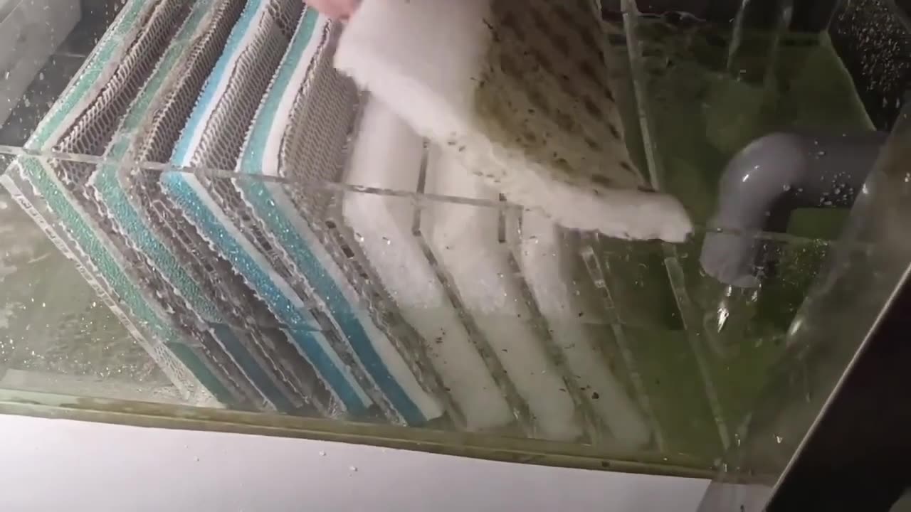 【龍爵士】底濾棉區強化組