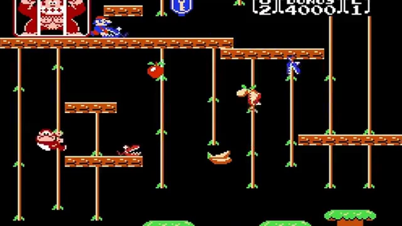 (NES)Donkey Kong Classics