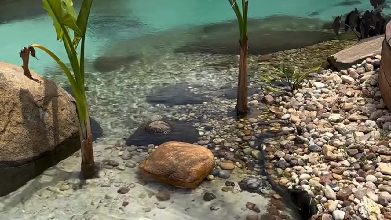 RIVER MAKER20