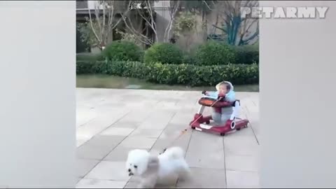 30 Minutes of Cutest Baby and Dog Friendships Ever! 🐶👶❤️