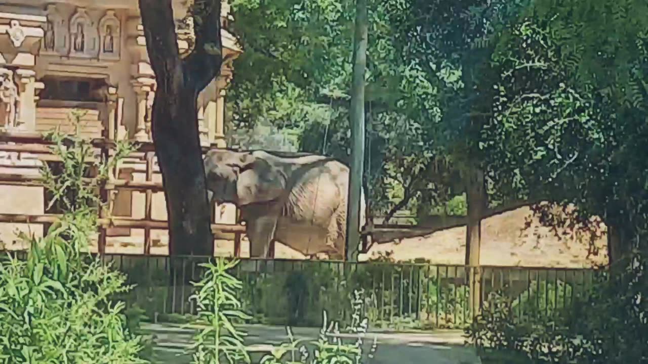 Ekopark v Buenos Aires