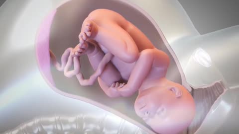 Child birth Through Normal Deliver 3D Animation