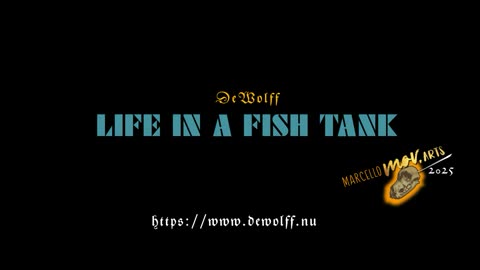 Life In A Fish Tank - DeWolff II