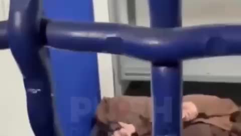 “Will there be a death penalty for ‘terrorists’?”