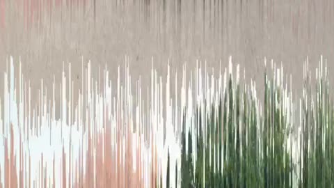 🏎️💨 Feel the Thrill of SVJ Performance in Oman! | LuxurySportsCars