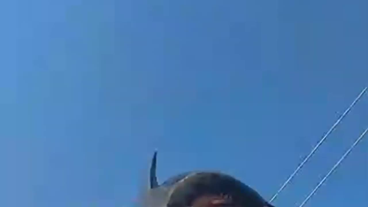 Batman Is The Undefeated Calisthenics and Strength Champion With 149 World Records!!! 🏆 🦇