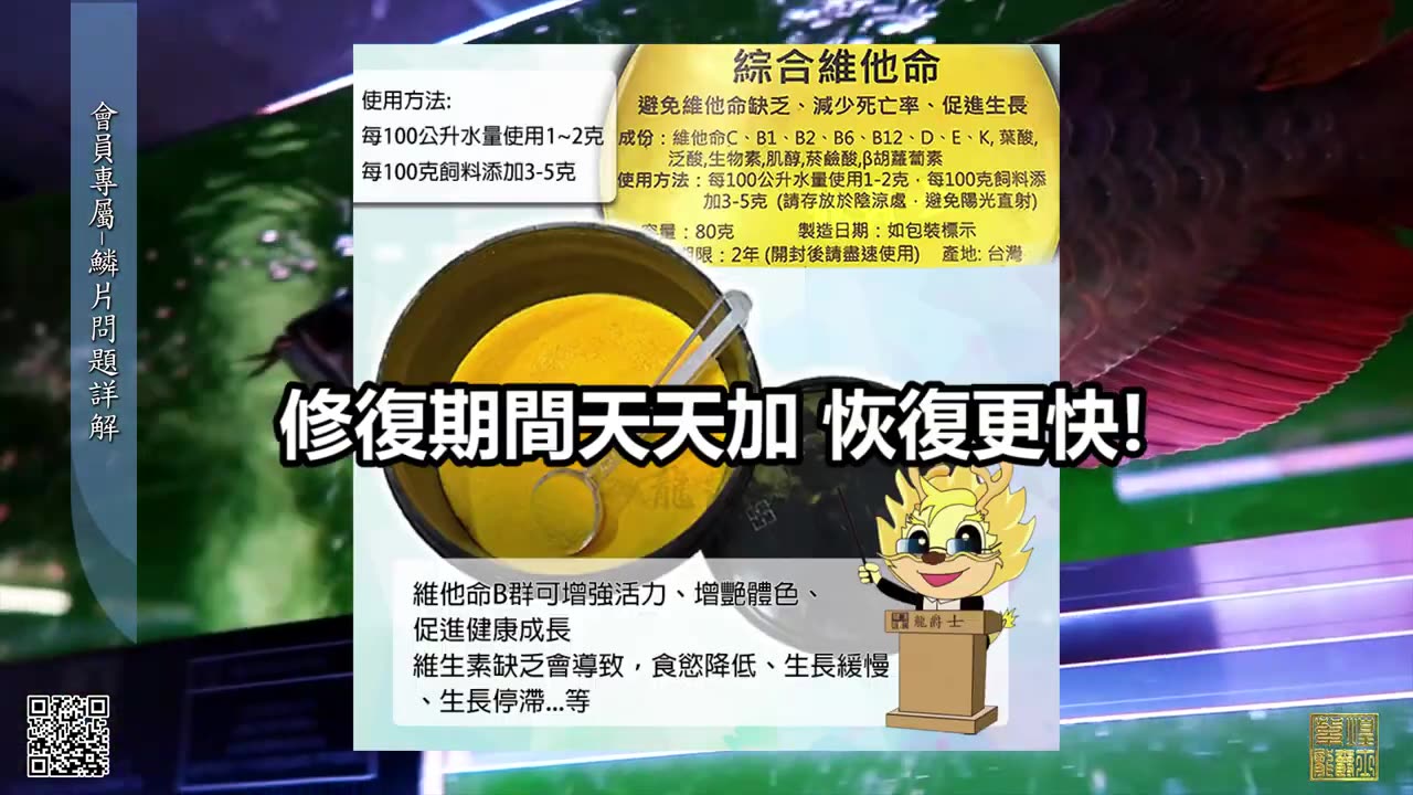 【龍爵士】YOUTUBE會員專屬-龍魚鱗片詳解 _水族_龍魚_入門級會員
